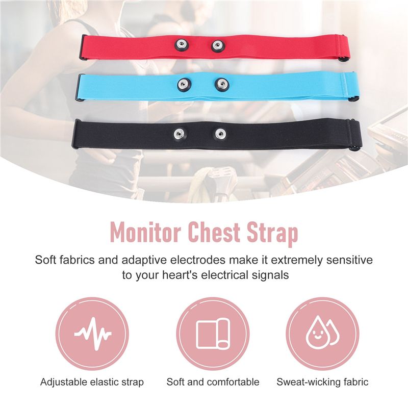 RTENTE-3Pcs حزام صدر قابل للتع - مراجعة Heart Rate Strap Chest وسعره